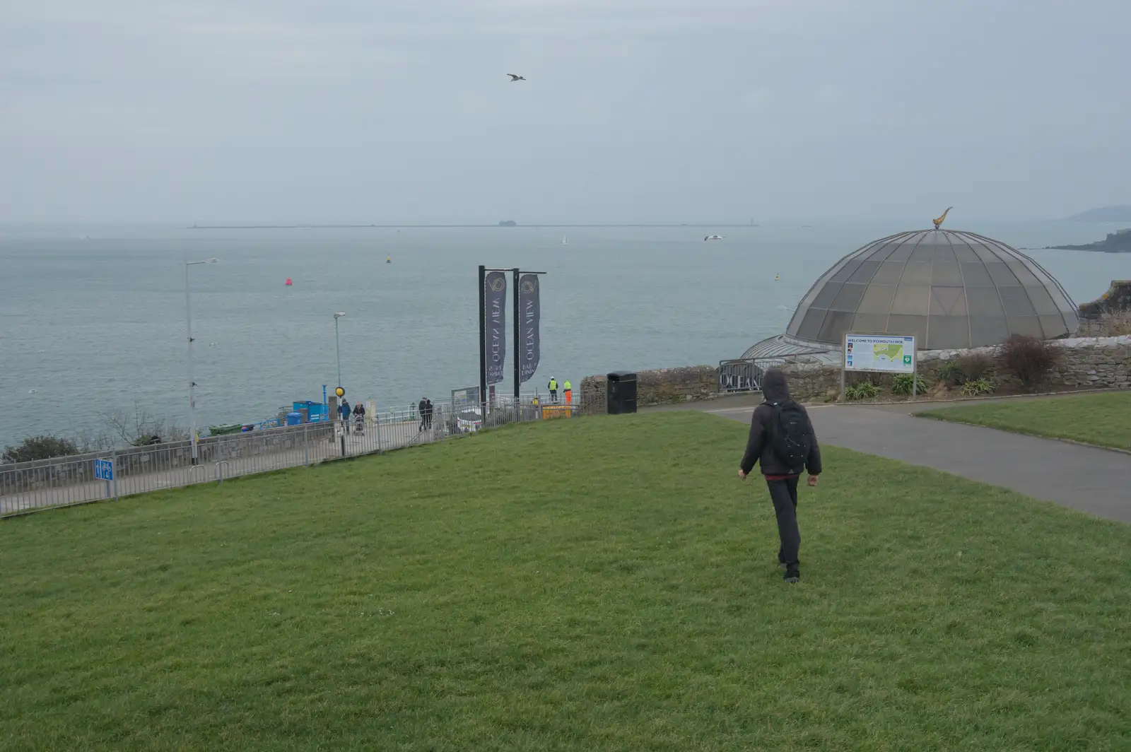 Harry wanders off to the bin, from Uni: A Return to Plymouth Polytechnic, Devon - 17th Februry 2025