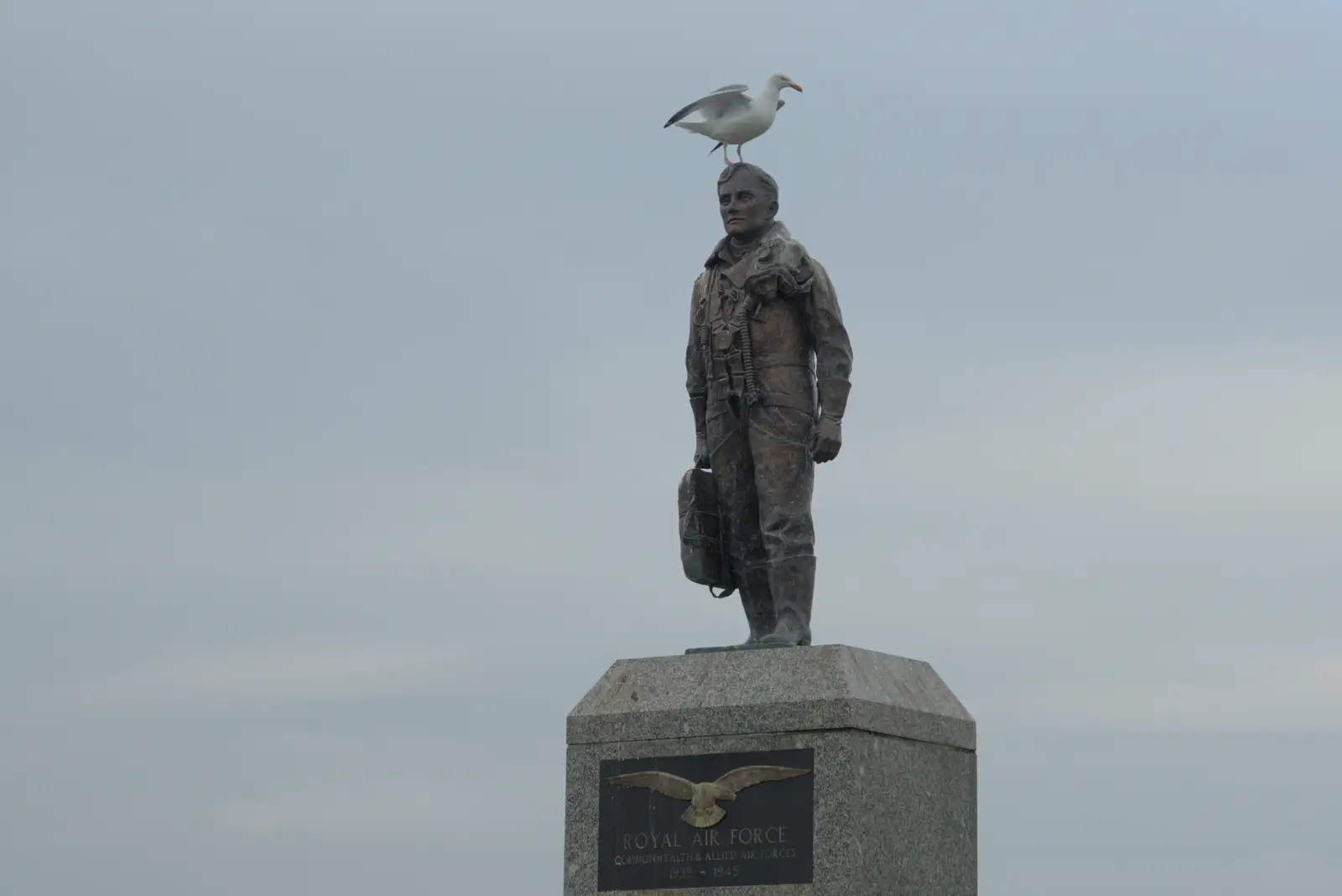 Bomber Harris has a seagull on his head, from Uni: A Return to Plymouth Polytechnic, Devon - 17th Februry 2025