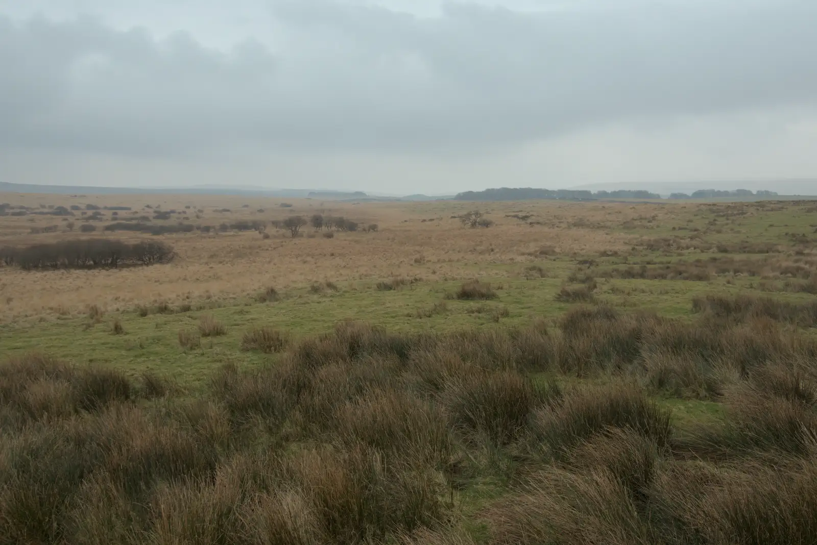 A view of Dartmoor, from Uni: A Return to Plymouth Polytechnic, Devon - 17th Februry 2025