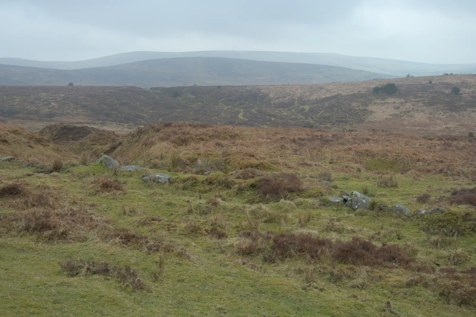 More winter cleakness on the moor, from Uni: A Return to Plymouth Polytechnic, Devon - 17th Februry 2025