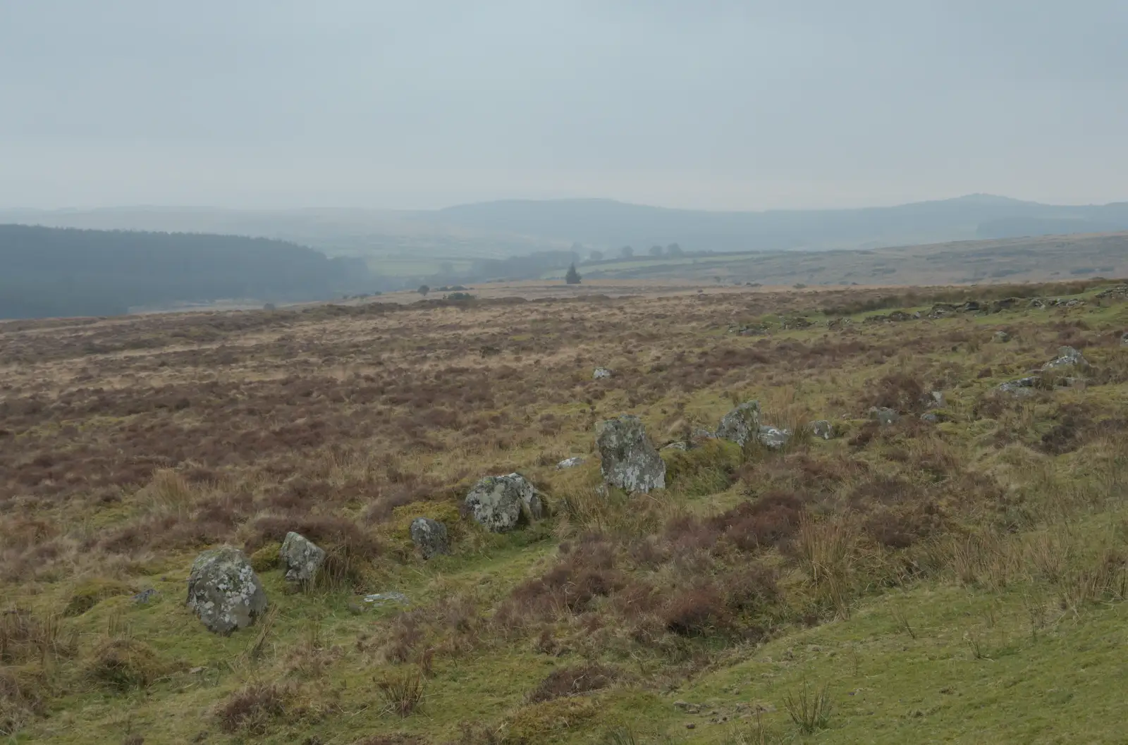 A Dartmoor stone row, from Uni: A Return to Plymouth Polytechnic, Devon - 17th Februry 2025