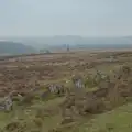 A Dartmoor stone row, Uni: A Return to Plymouth Polytechnic, Devon - 17th Februry 2025