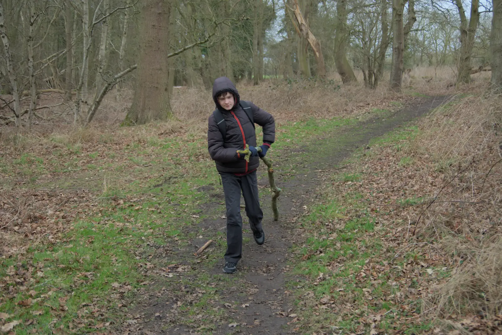 Harry drags his new stick around, from A Walk around Redgrave and Lopham Fen, Redgrave, Suffolk - 23rd February 2025