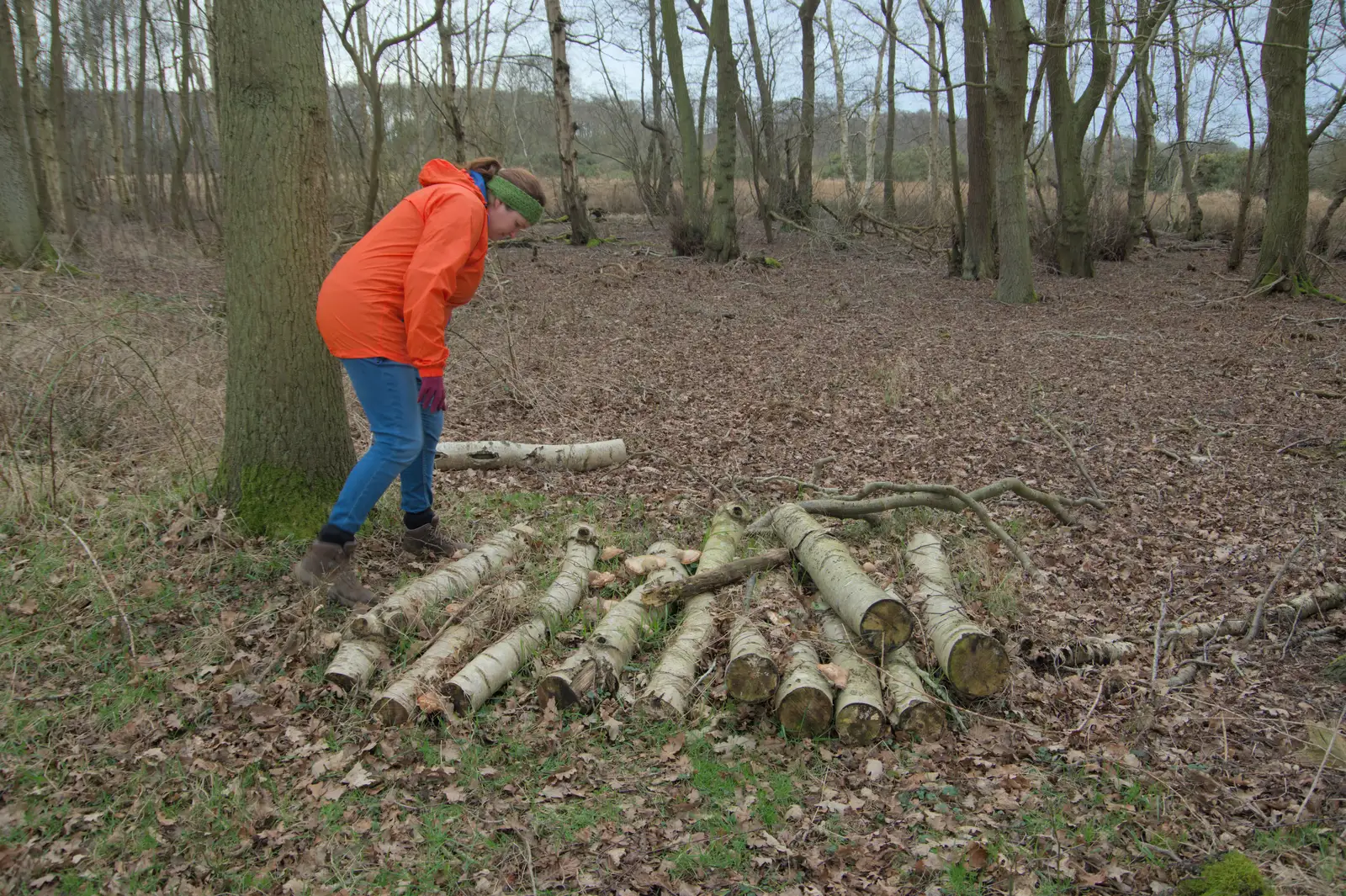 Isobel looks for moshrooms in a pile of logs, from A Walk around Redgrave and Lopham Fen, Redgrave, Suffolk - 23rd February 2025