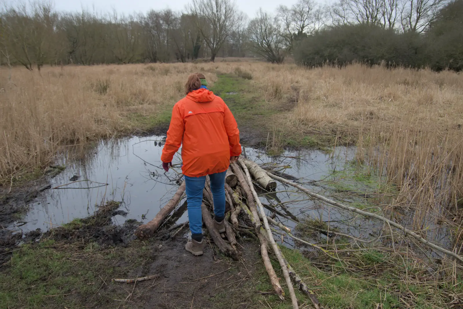 We navigate a wobbly log bridge, from A Walk around Redgrave and Lopham Fen, Redgrave, Suffolk - 23rd February 2025