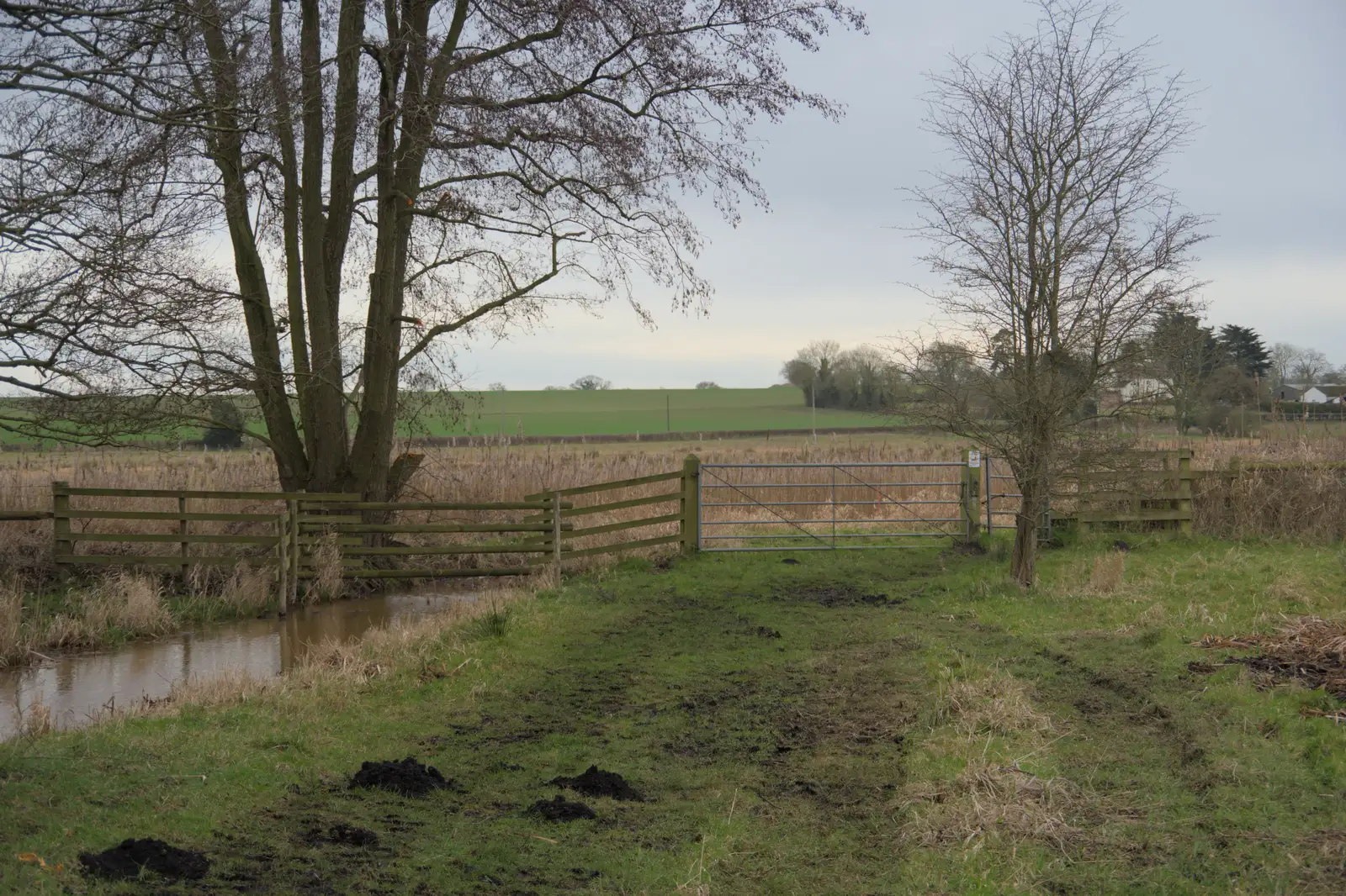 A gate on the Fen walk, from A Walk around Redgrave and Lopham Fen, Redgrave, Suffolk - 23rd February 2025