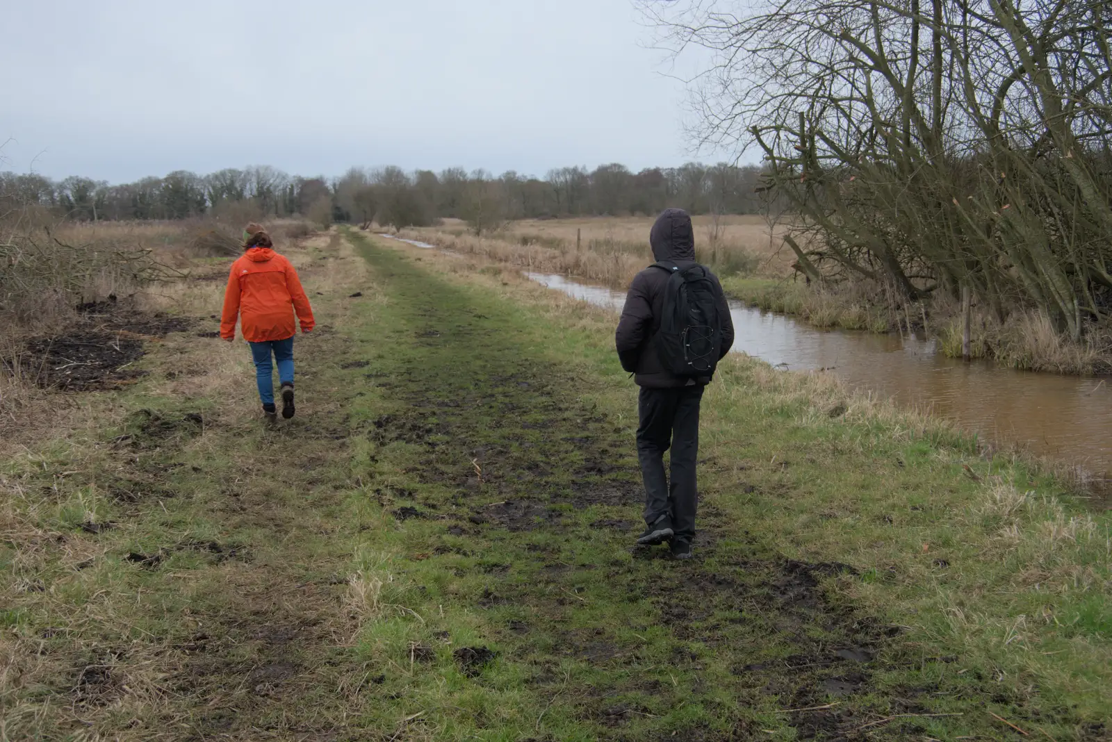 A new drainage ditch has been dug, from A Walk around Redgrave and Lopham Fen, Redgrave, Suffolk - 23rd February 2025