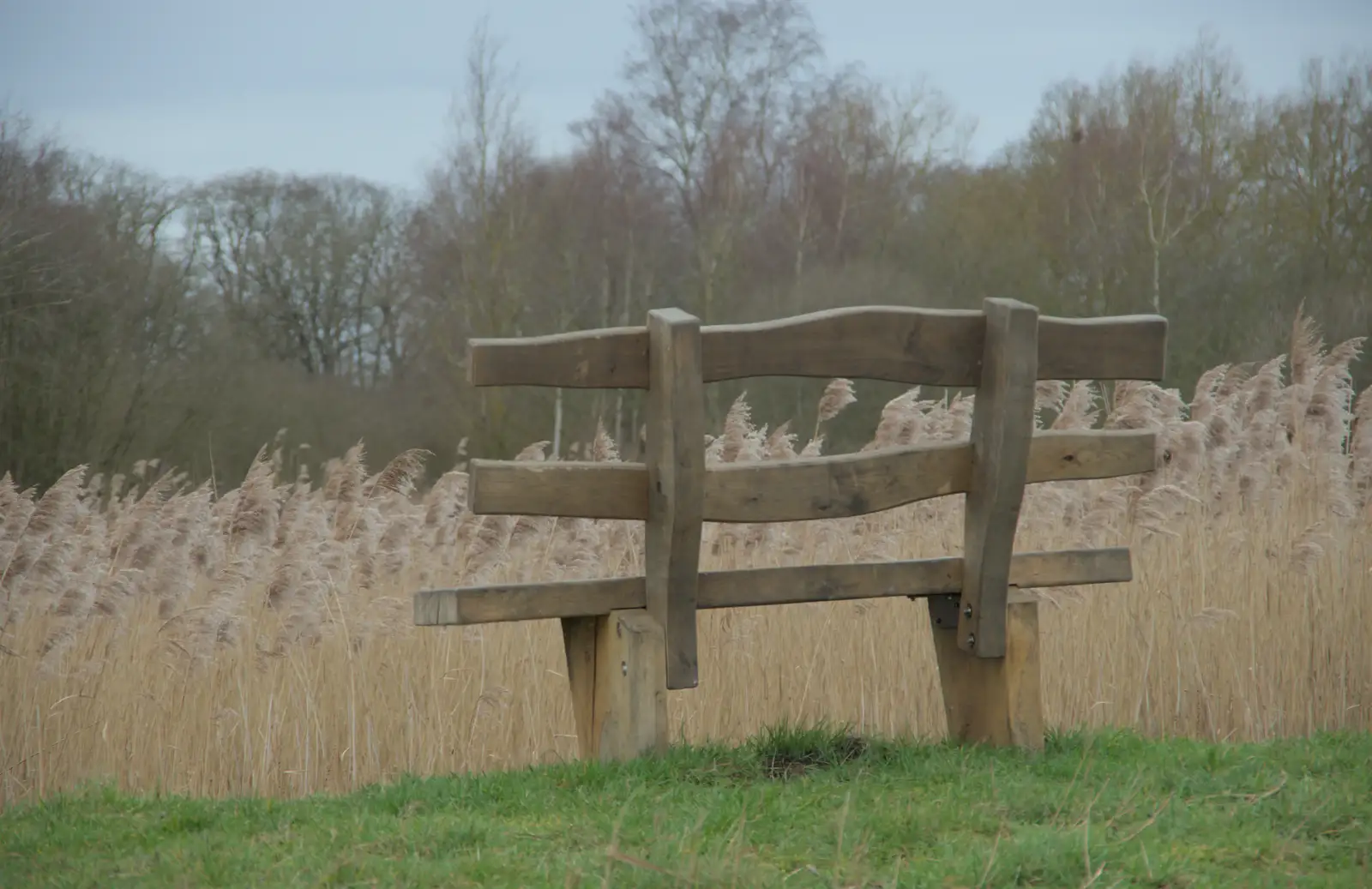 A funky bench on a hill, from A Walk around Redgrave and Lopham Fen, Redgrave, Suffolk - 23rd February 2025