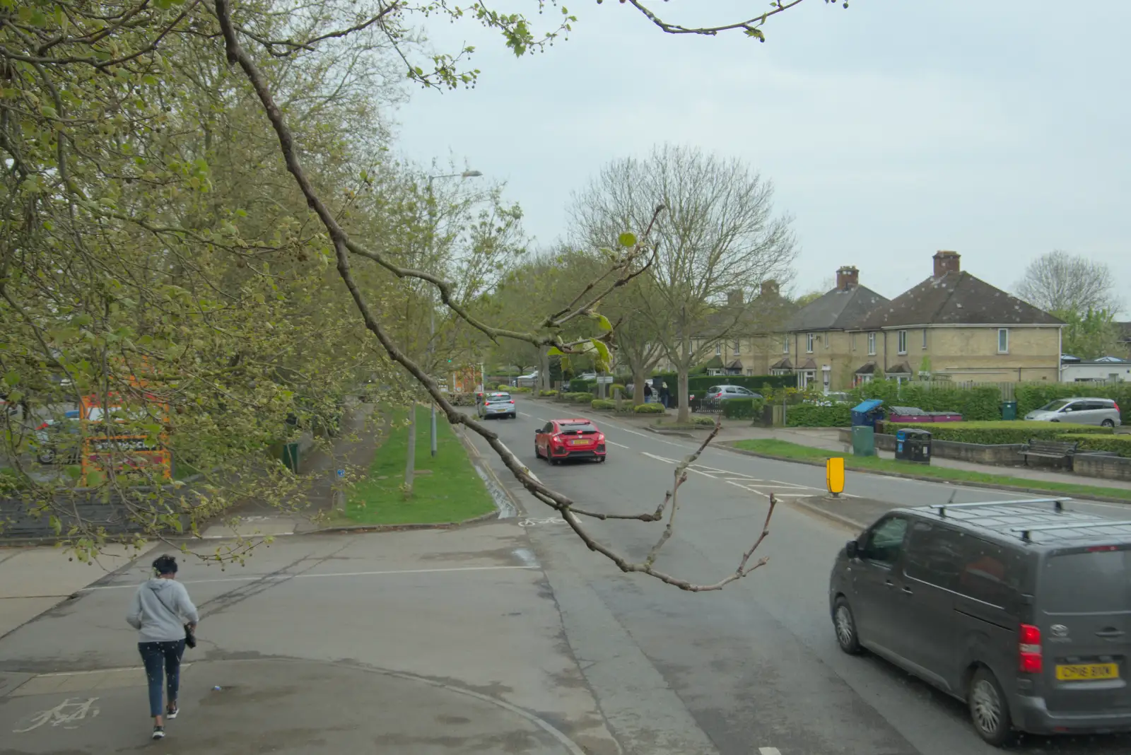 There's a tree in the way of the bus, from Back in the Bridge: A Short Trip to Cambridge - 21st April 2025