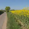 Looking back up the road to Cotton, May Miscellany and New Kittens, Brome, Suffolk - 4th May 2025