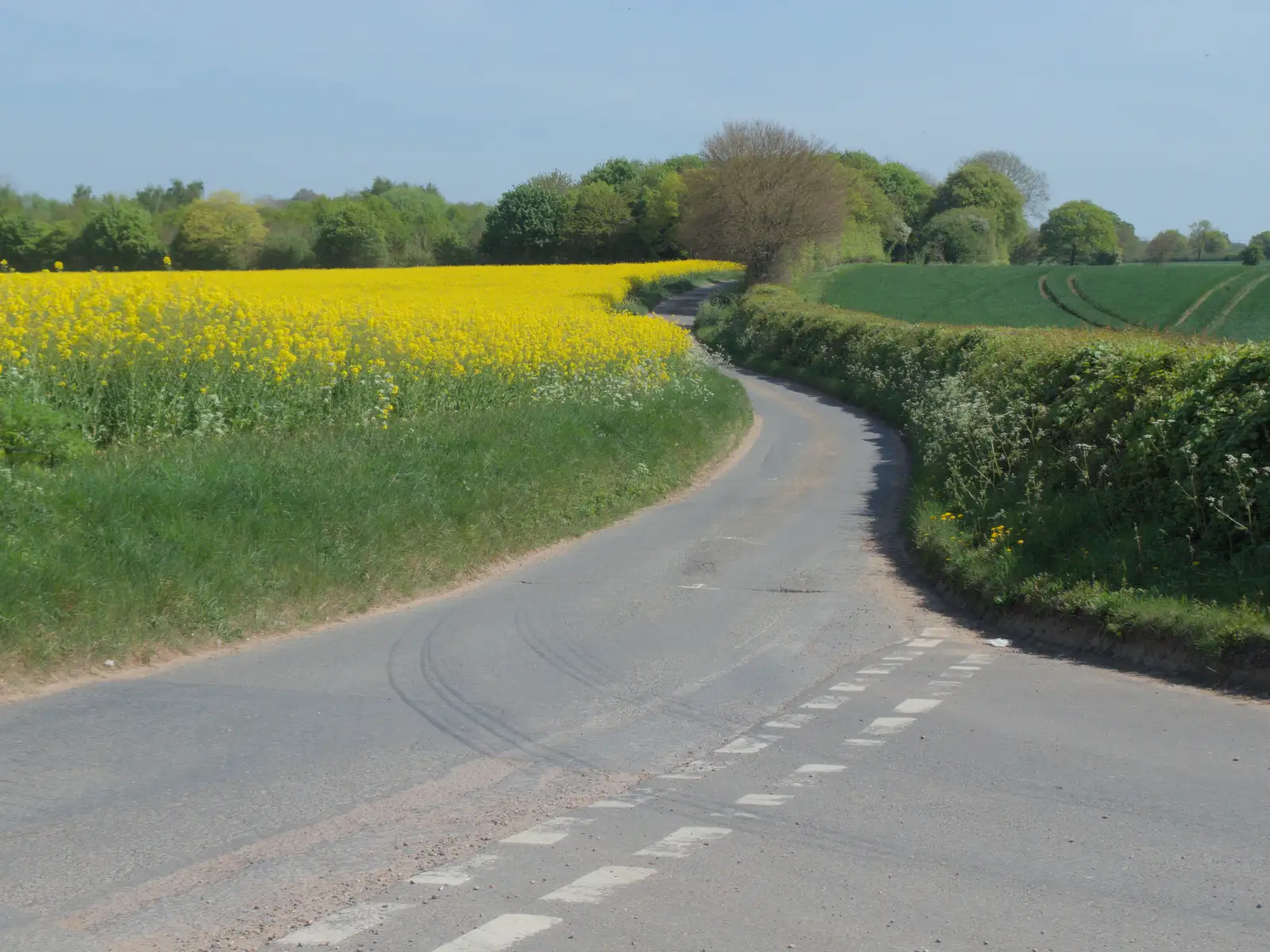 The road to Wickham Skeith, from May Miscellany and New Kittens, Brome, Suffolk - 4th May 2025