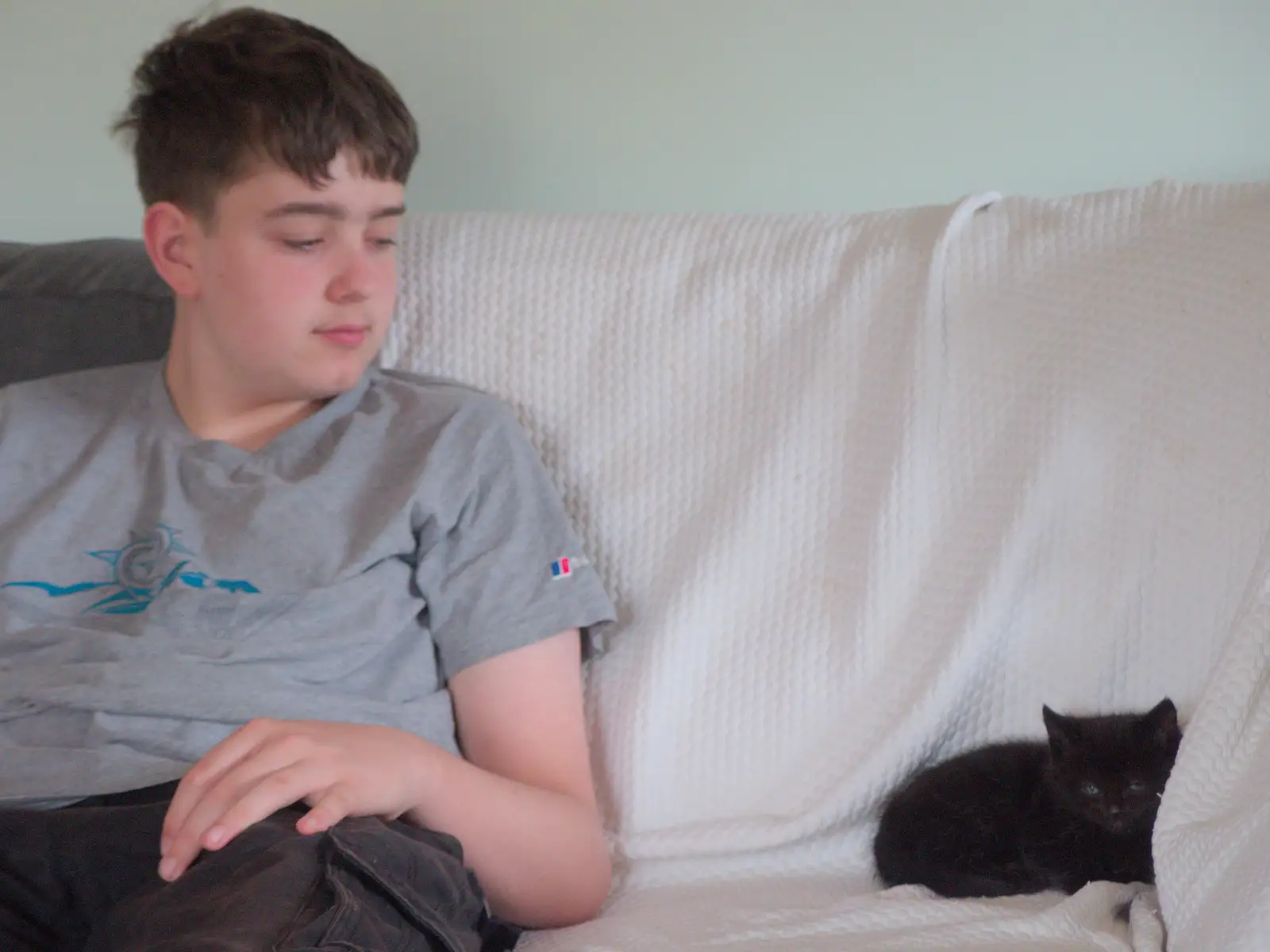 Fred looks at a resting kitten, from May Miscellany and New Kittens, Brome, Suffolk - 4th May 2025