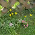 There's a nice mixture of flowers outside the church, May Miscellany and New Kittens, Brome, Suffolk - 4th May 2025