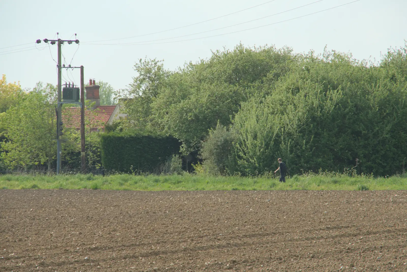 Harry trudges around the field, from May Miscellany and New Kittens, Brome, Suffolk - 4th May 2025