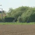 Harry trudges around the field, May Miscellany and New Kittens, Brome, Suffolk - 4th May 2025