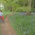 Isobel wanders past a bluebell wood, Hoxne, Bedfield, and the BSCC does the Lion, Debenham - 8th May 2025