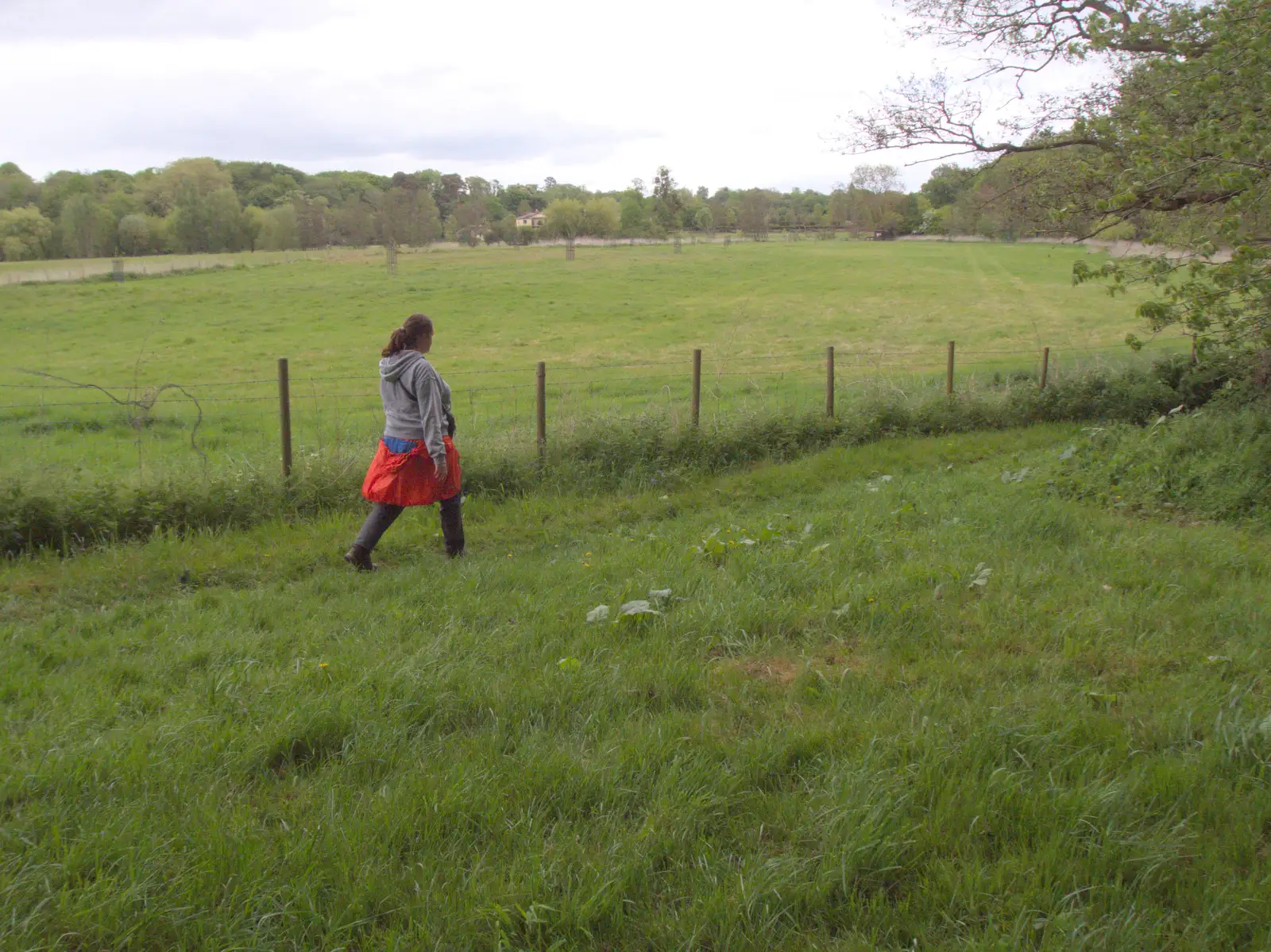 On the footpath past Oakley Park, from Hoxne, Bedfield, and the BSCC does the Lion, Debenham - 8th May 2025