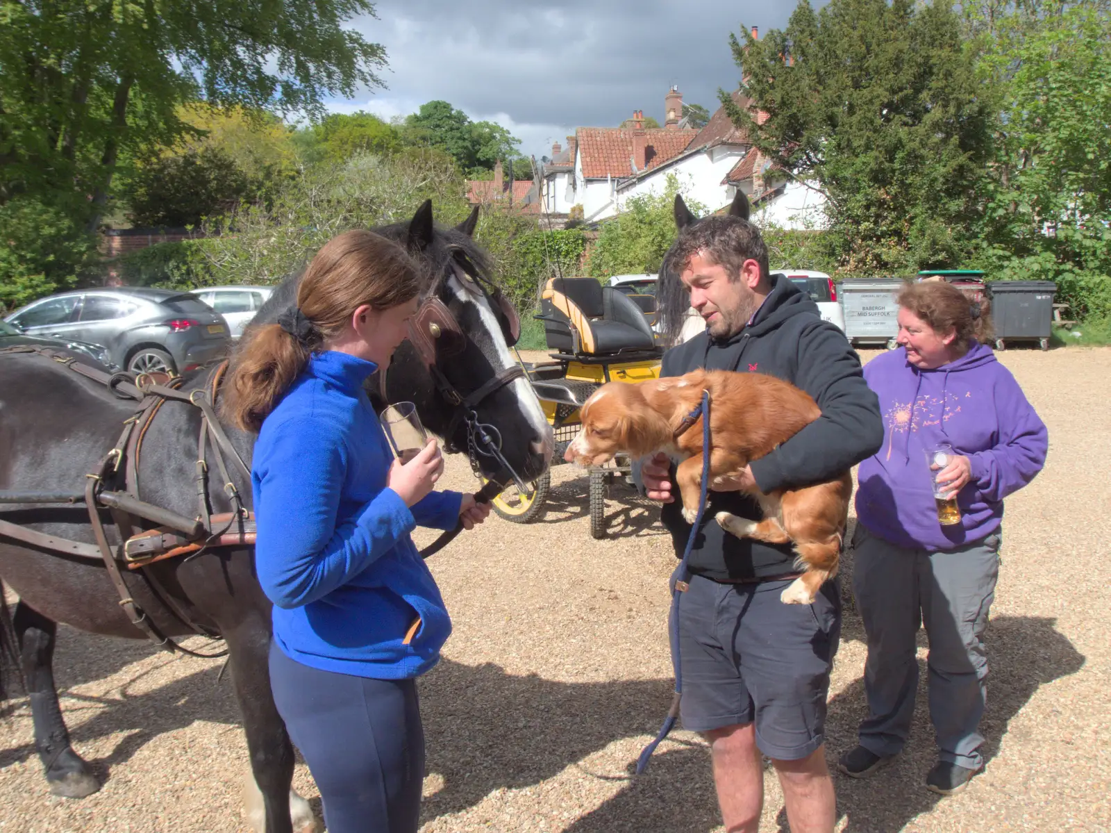 A dog is introduced to Poppy's pony, from Hoxne, Bedfield, and the BSCC does the Lion, Debenham - 8th May 2025
