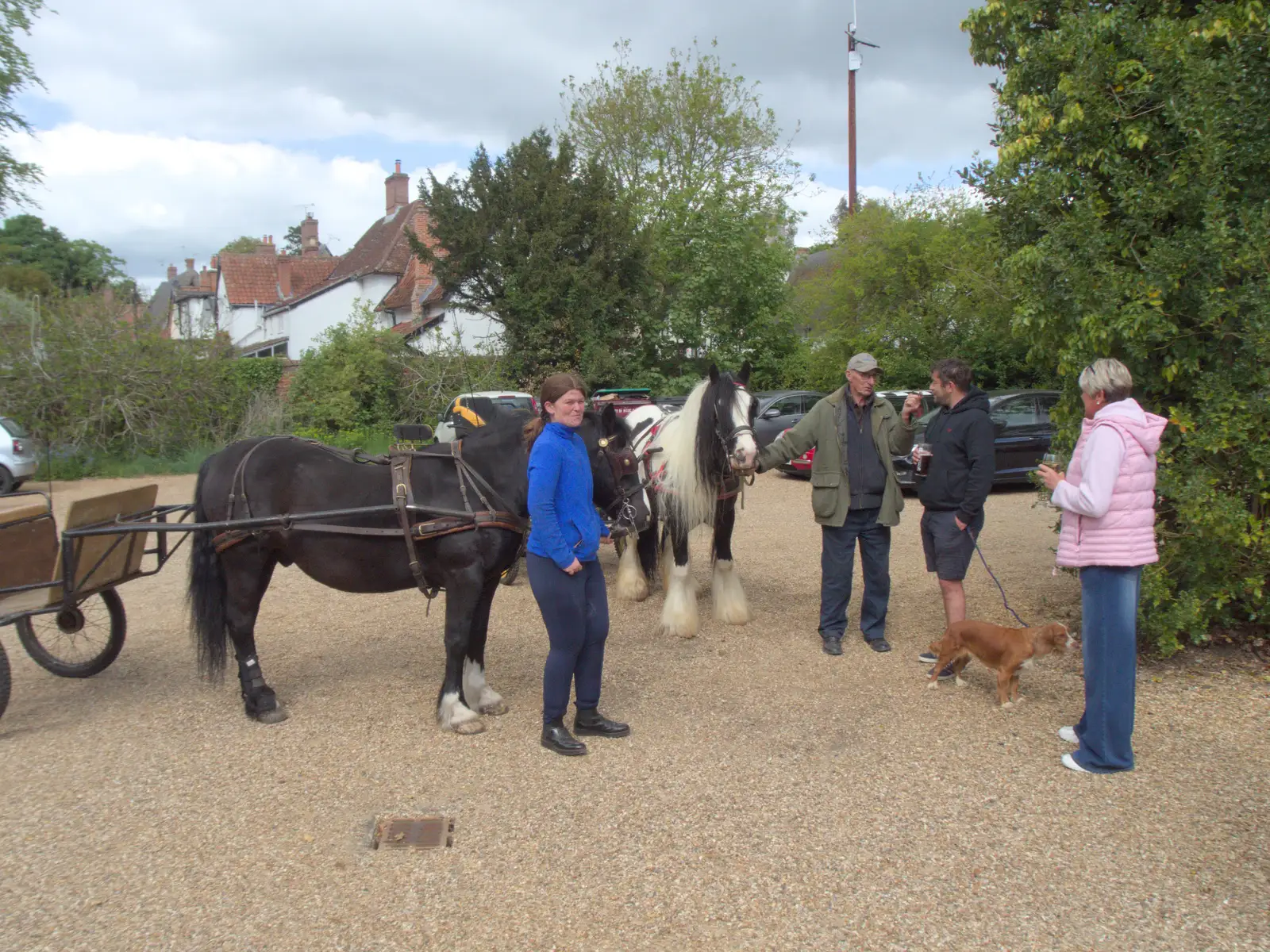 There's a pony meet-up in the Hoxne Swan car park, from Hoxne, Bedfield, and the BSCC does the Lion, Debenham - 8th May 2025