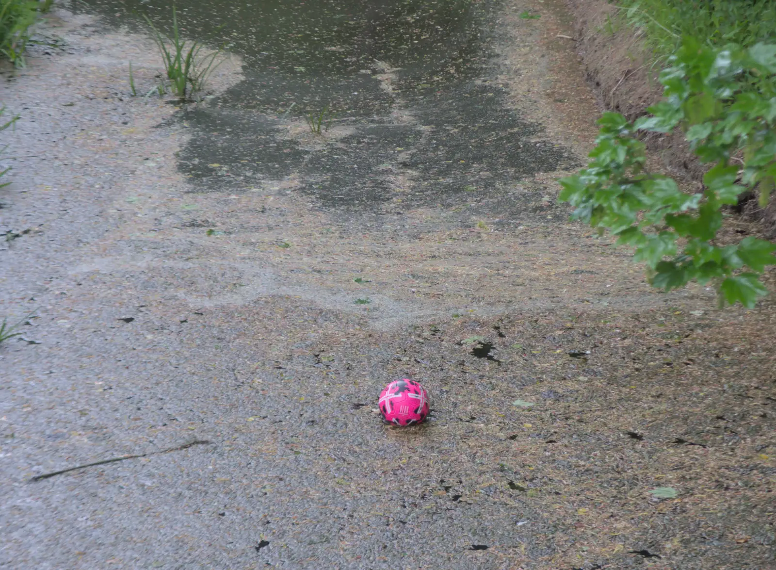 A football is stuck in the scummy river, from Hoxne, Bedfield, and the BSCC does the Lion, Debenham - 8th May 2025