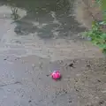 A football is stuck in the scummy river, Hoxne, Bedfield, and the BSCC does the Lion, Debenham - 8th May 2025