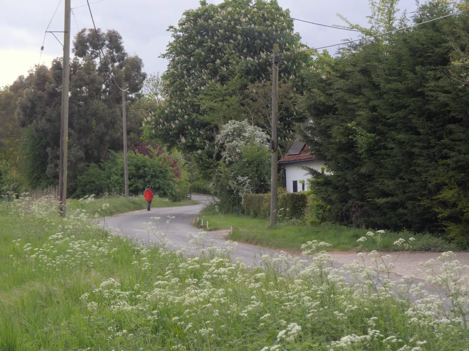 Isobel wanders off down Brome Street, from Hoxne, Bedfield, and the BSCC does the Lion, Debenham - 8th May 2025