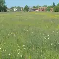 Flowers are out on Mellis Common, The BSCC at Kenninghall, and a Walk to Ampersand, Diss - 26th May 2025