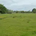 Buttercup meadows near Scole Plantation, The BSCC at Kenninghall, and a Walk to Ampersand, Diss - 26th May 2025