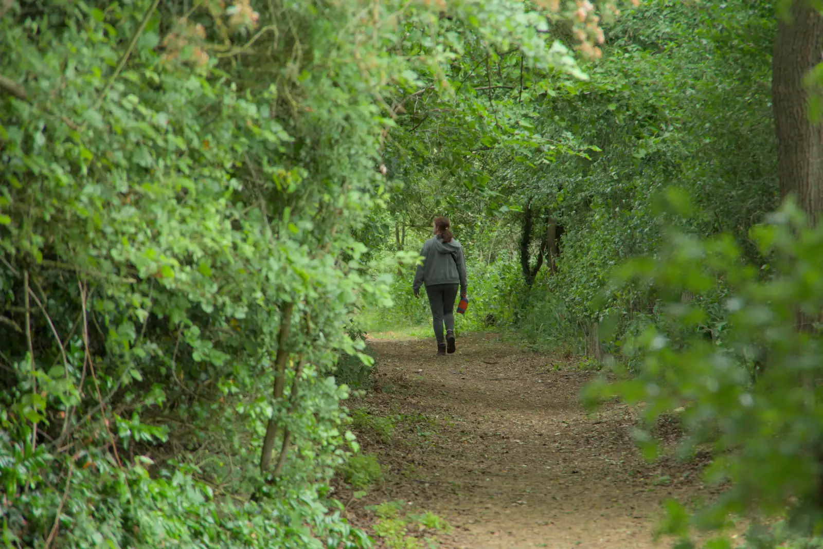 Isobel wanders off up Miller's Lane, from The BSCC at Kenninghall, and a Walk to Ampersand, Diss - 26th May 2025