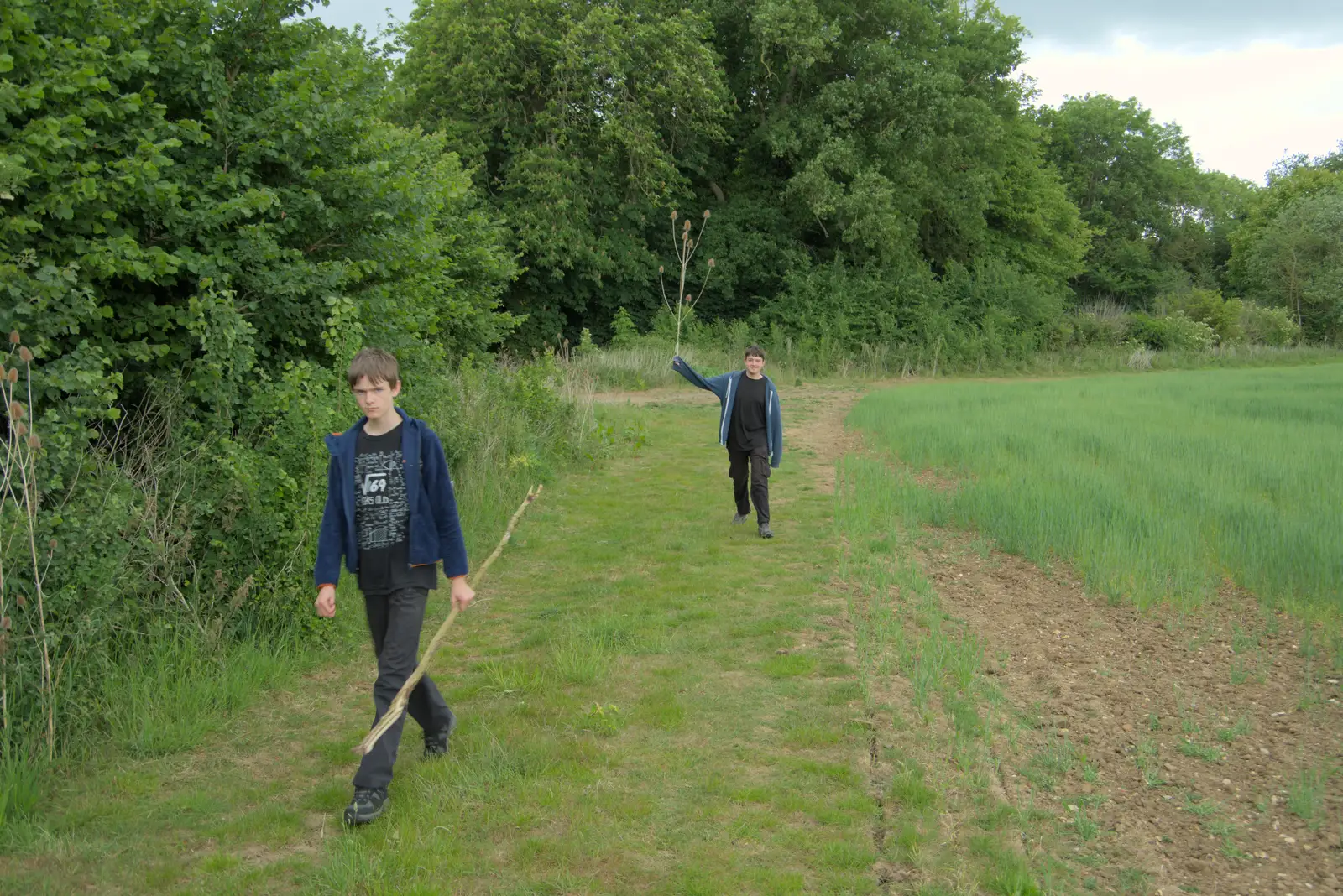 Fred waves around a giant plant stem, from The BSCC at Kenninghall, and a Walk to Ampersand, Diss - 26th May 2025
