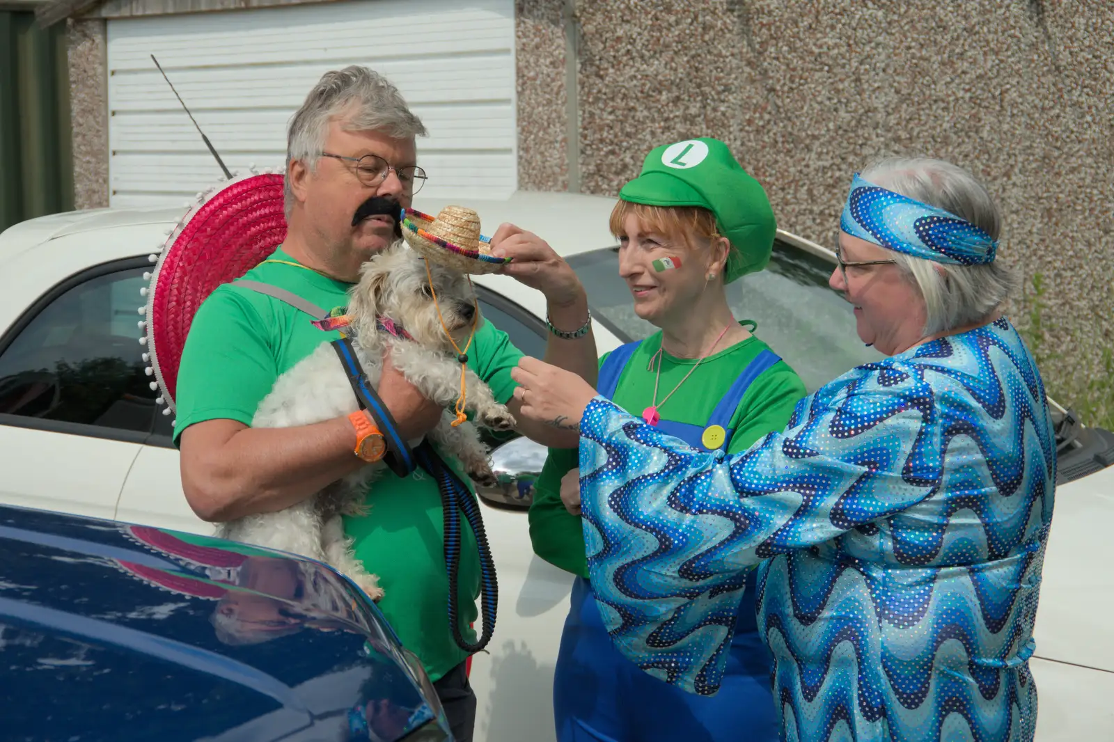 A dog gets a mini Mexican hat, from Palgrave Players do the Carnival, Diss, Norfolk - 8th June 2025