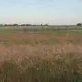 A new solar farm is being built near Redgrave, A Swarm of Bees, Eye, Suffolk - 16th June 2025