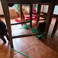 The kittens have made a string web under the table, A Swarm of Bees, Eye, Suffolk - 16th June 2025
