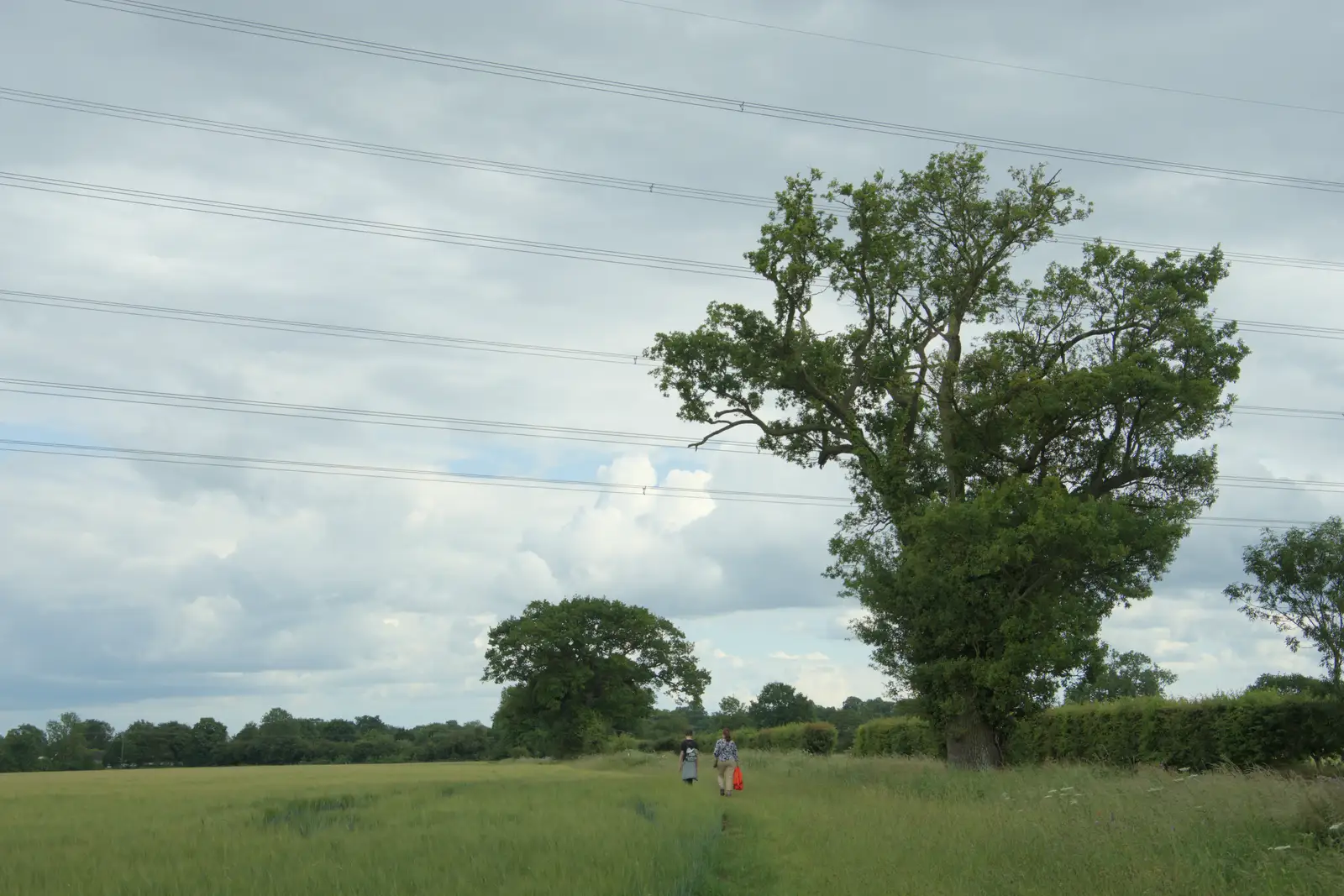 We pass under the powerlines near Brome, from A Swarm of Bees, Eye, Suffolk - 16th June 2025
