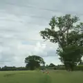 We pass under the powerlines near Brome, A Swarm of Bees, Eye, Suffolk - 16th June 2025