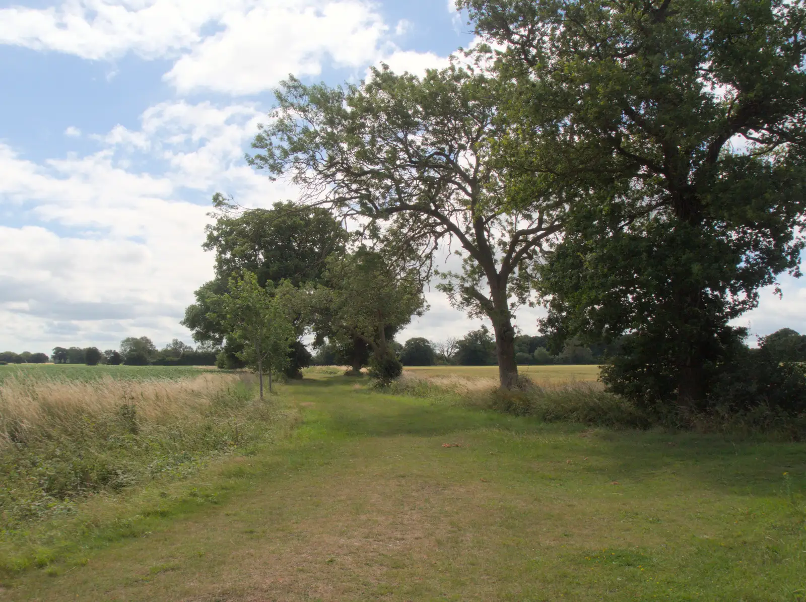 A view of fields, from A Late June Miscellany, Suffolk - 28th June 2025