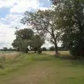 A view of fields, A Late June Miscellany, Suffolk - 28th June 2025