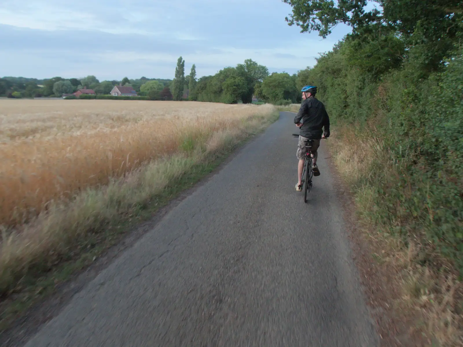 The Boy Phil looks over another too-ripe field, from A Late June Miscellany, Suffolk - 28th June 2025