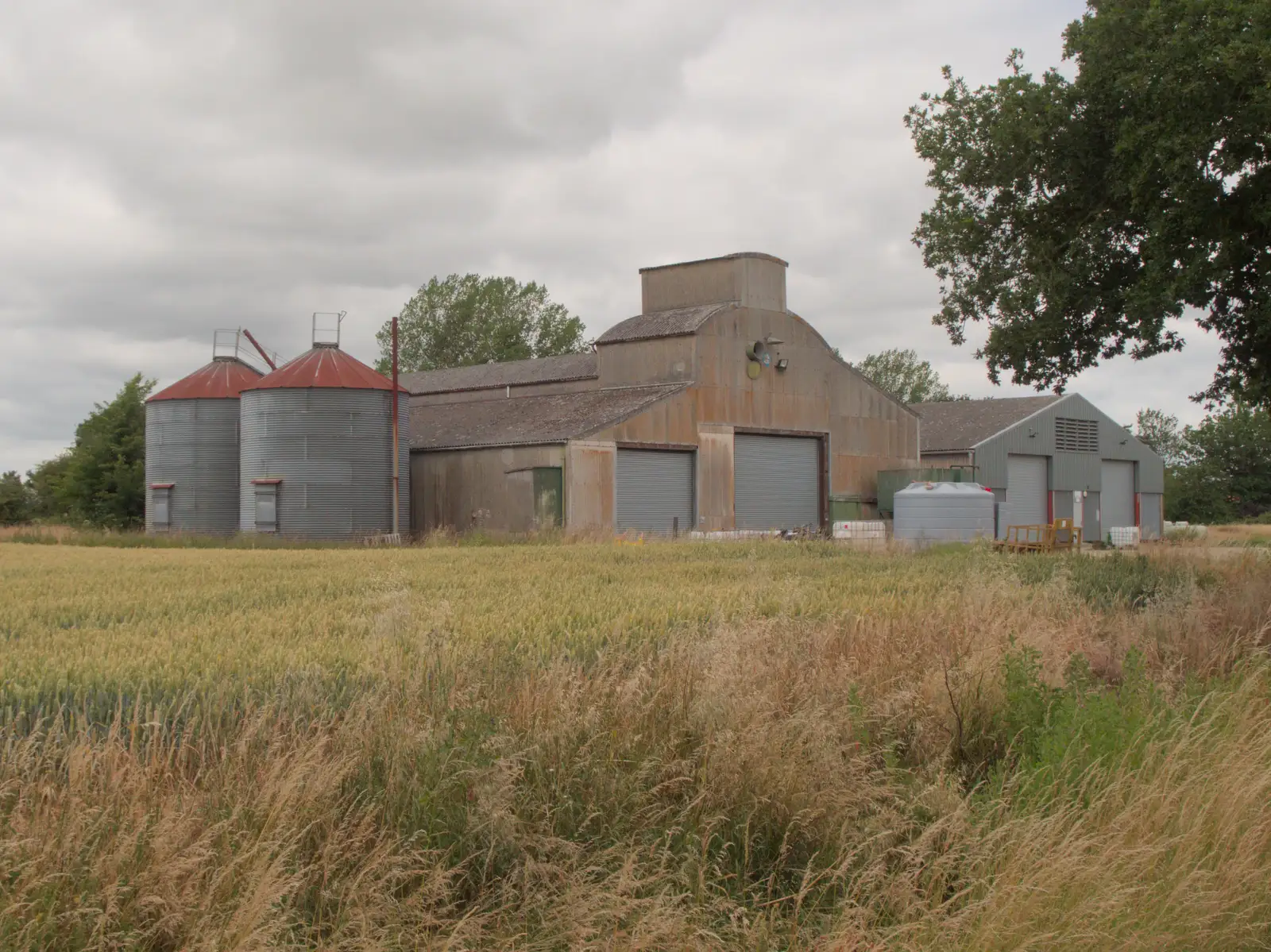 Farm buildings at Bedfield, from A Late June Miscellany, Suffolk - 28th June 2025