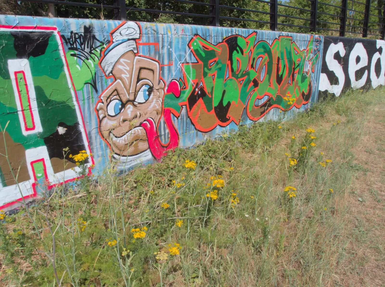 More graffiti and wall art, from A Week in Ipswich, Suffolk - 30th June 2025