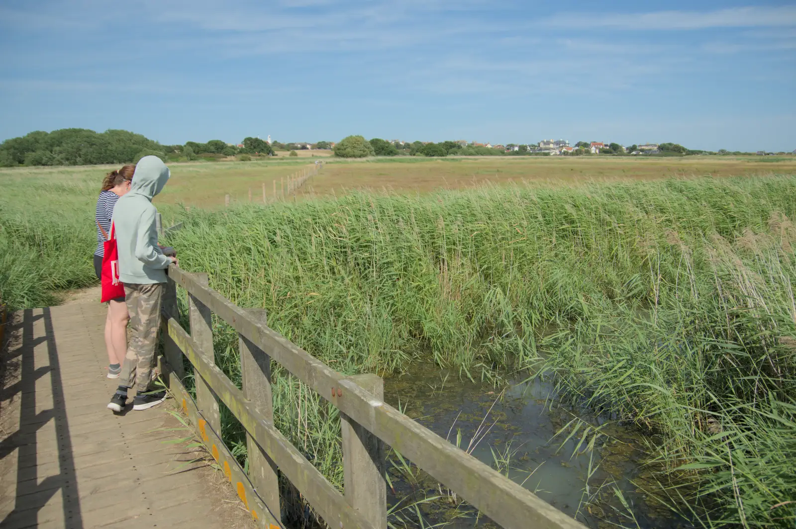 Isobel and Harry out amongst the reeds, from Harry's Karate Kamp, Blackshore, Southwold - 5th July 2025