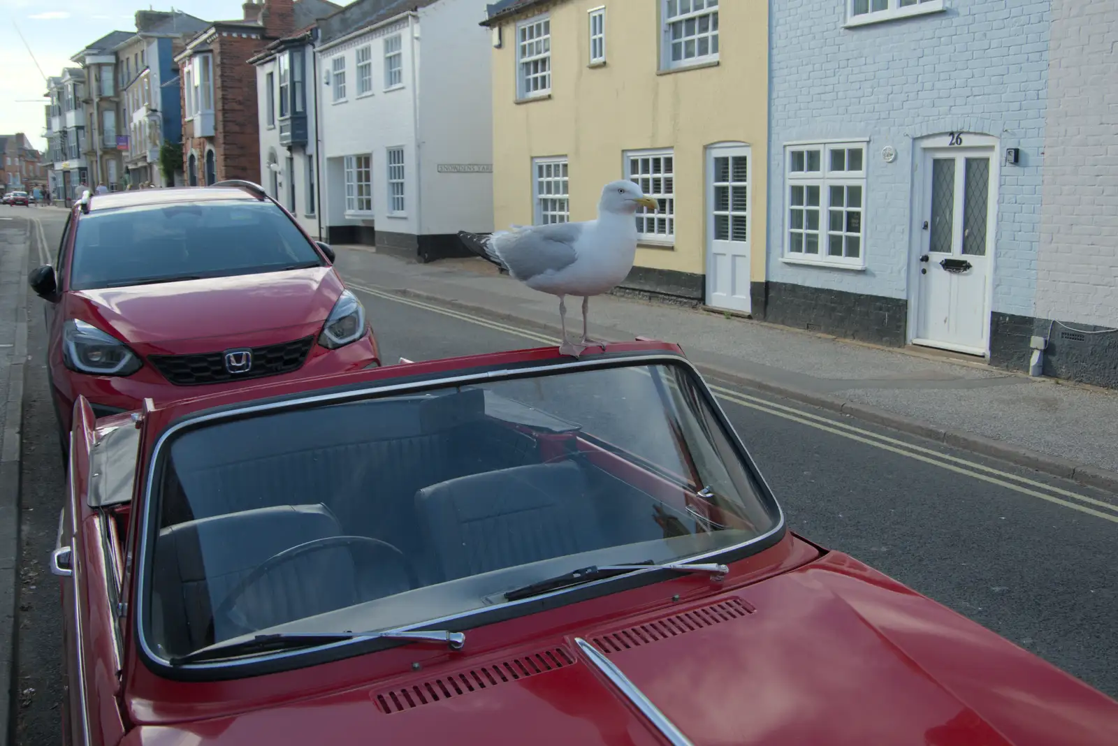 A seagull perches on the Triumph, from Harry's Karate Kamp, Blackshore, Southwold - 5th July 2025