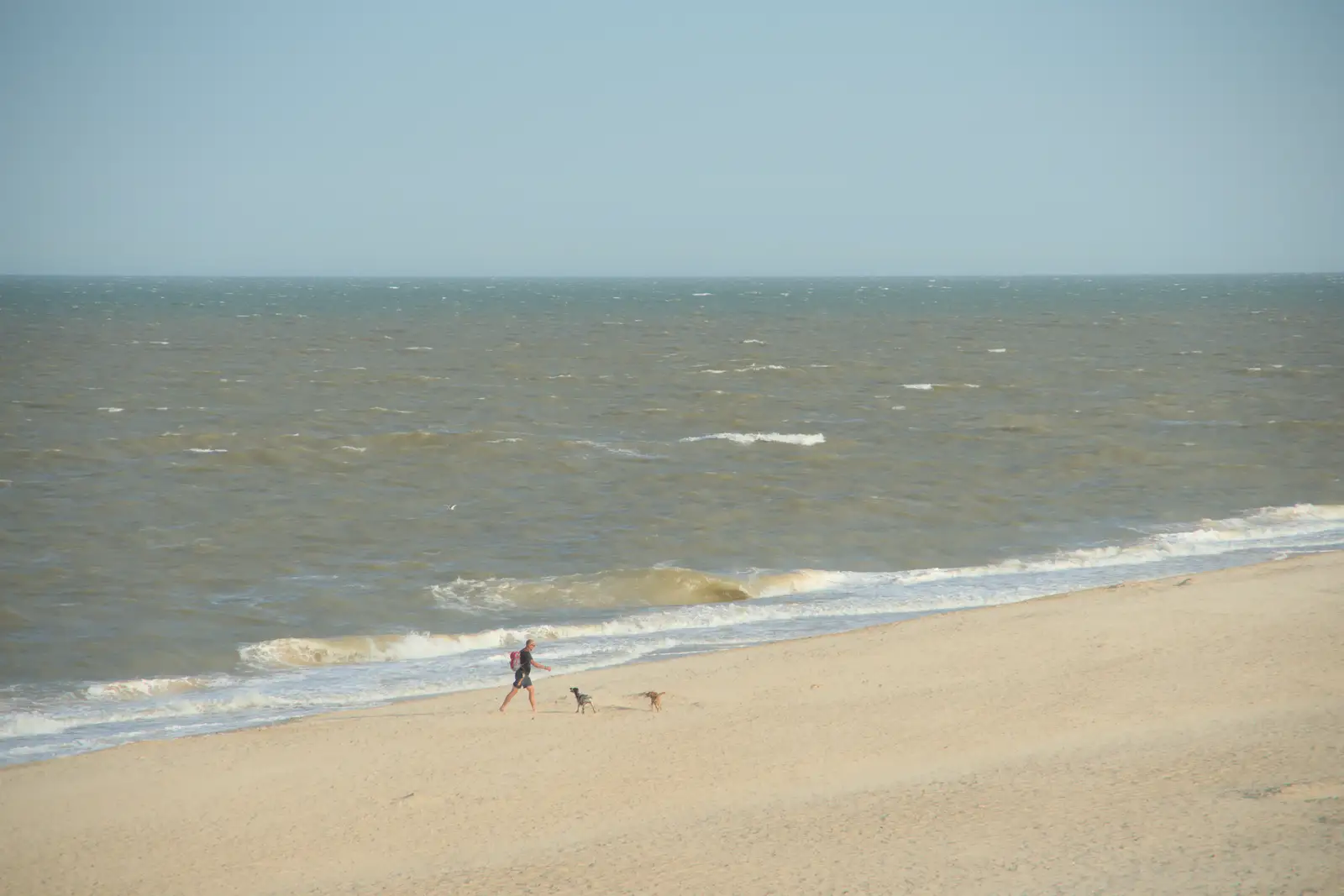 Dog walking on the wide empty beach, from Harry's Karate Kamp, Blackshore, Southwold - 5th July 2025