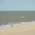 Dog walking on the wide empty beach, Harry's Karate Kamp, Blackshore, Southwold - 5th July 2025