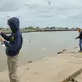 There's a seagull explosion near Harry, Harry's Karate Kamp, Blackshore, Southwold - 5th July 2025