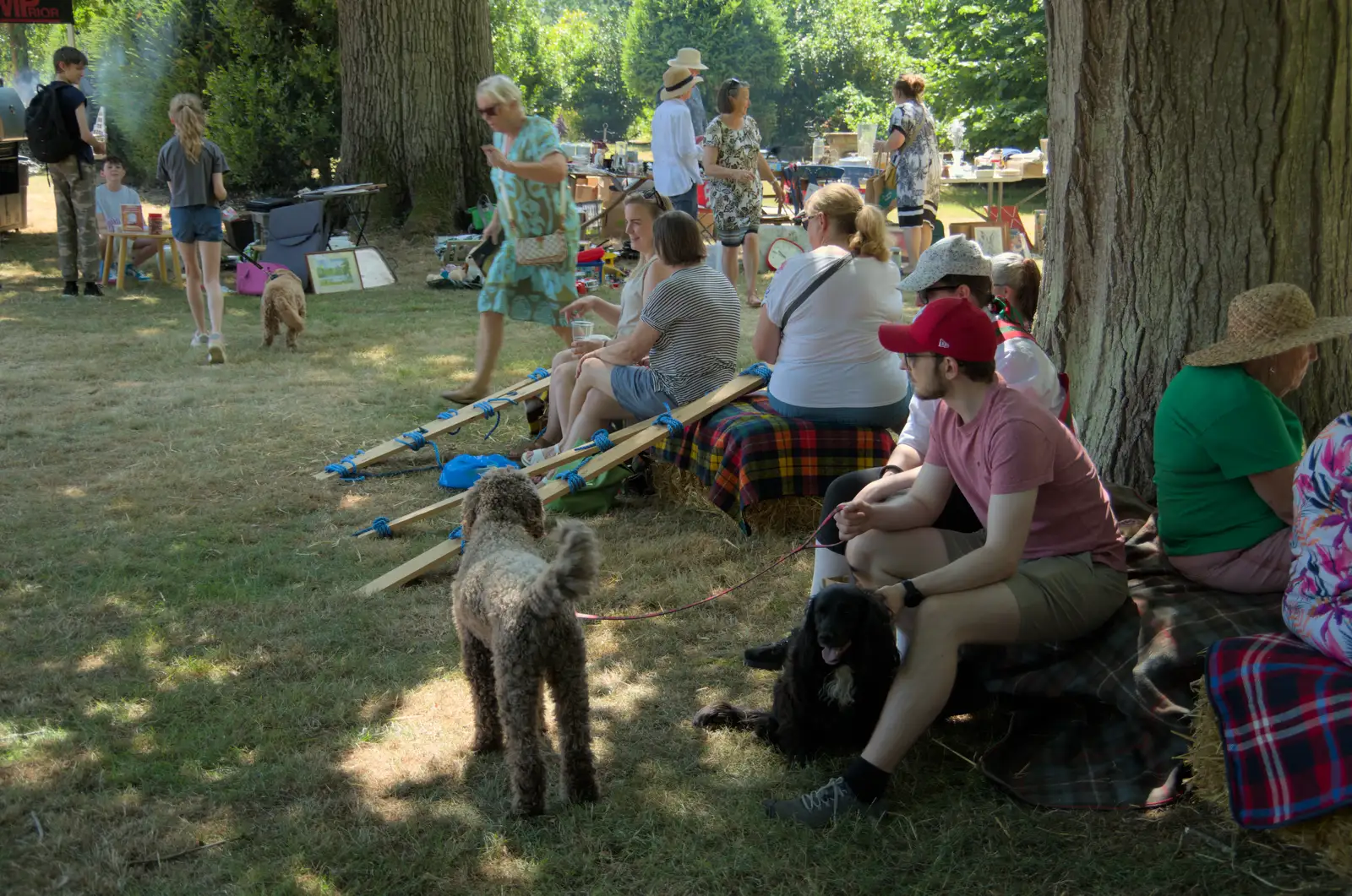 Dogs and people under the trees, from The Brome and Oakley Fete, Brome Hall, Suffolk - 12th July 2025