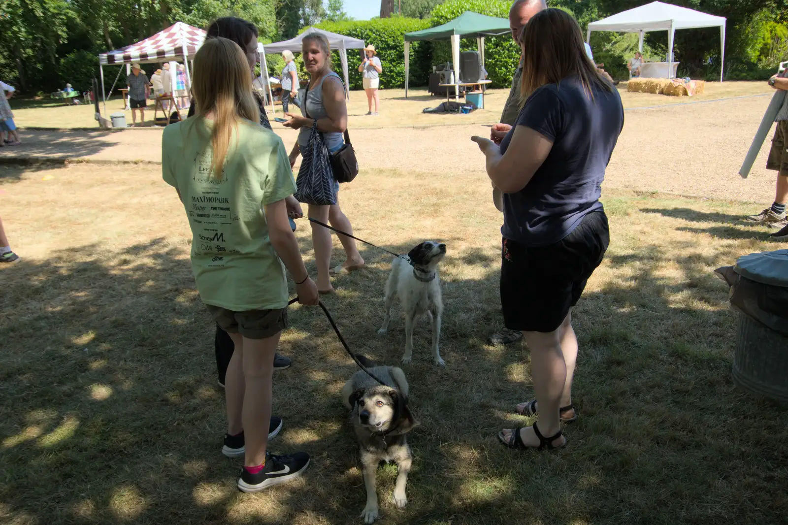 Gizmo the dog is ready for action, from The Brome and Oakley Fete, Brome Hall, Suffolk - 12th July 2025