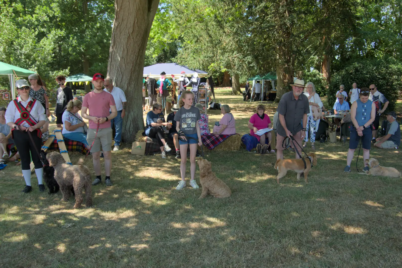 The dog show kicks off, from The Brome and Oakley Fete, Brome Hall, Suffolk - 12th July 2025