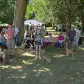 The dog show kicks off, The Brome and Oakley Fete, Brome Hall, Suffolk - 12th July 2025