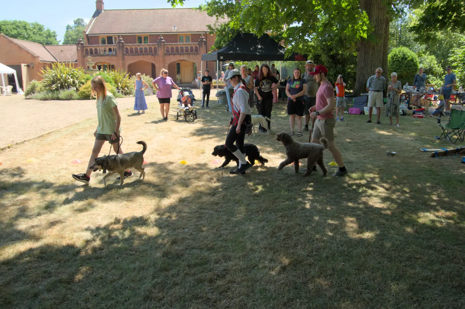 Dogs do a circular walk, from The Brome and Oakley Fete, Brome Hall, Suffolk - 12th July 2025
